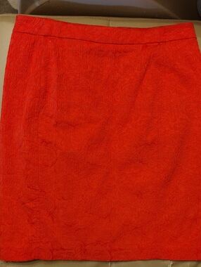 ANTHROPOLOGIE VANESSA VIRGINIA SKIRT 10